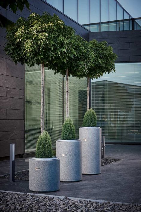 Design Vase Cylindrus in verschiedenen Größen mit Bepflanzung